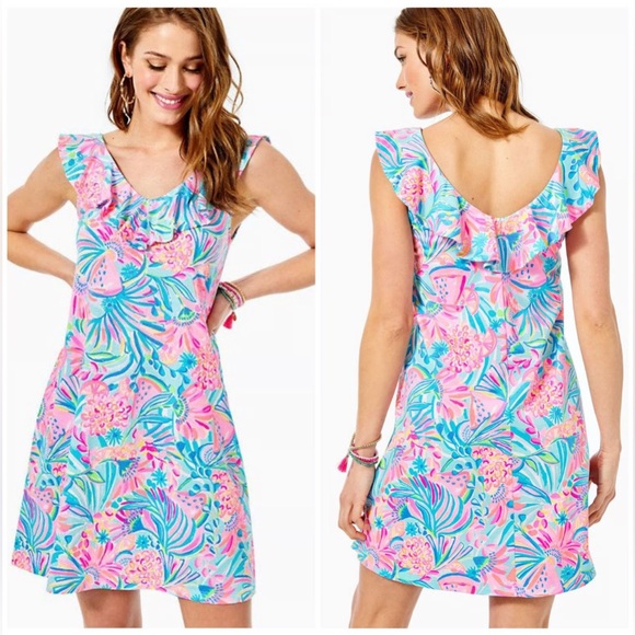 Lilly Pulitzer - Alessa Swing Dress Blue Lucius Lion size M - Picture 1 of 4